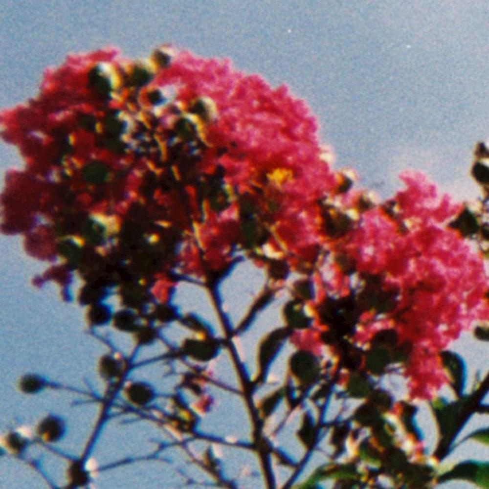 Single 7
